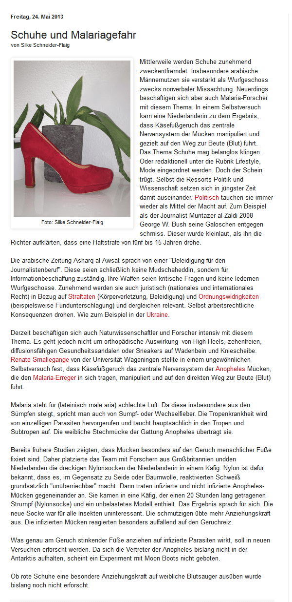 JB-Blog - Schuhe und Malariagefahr JB-Blog - Schuhe und Malariagefahr